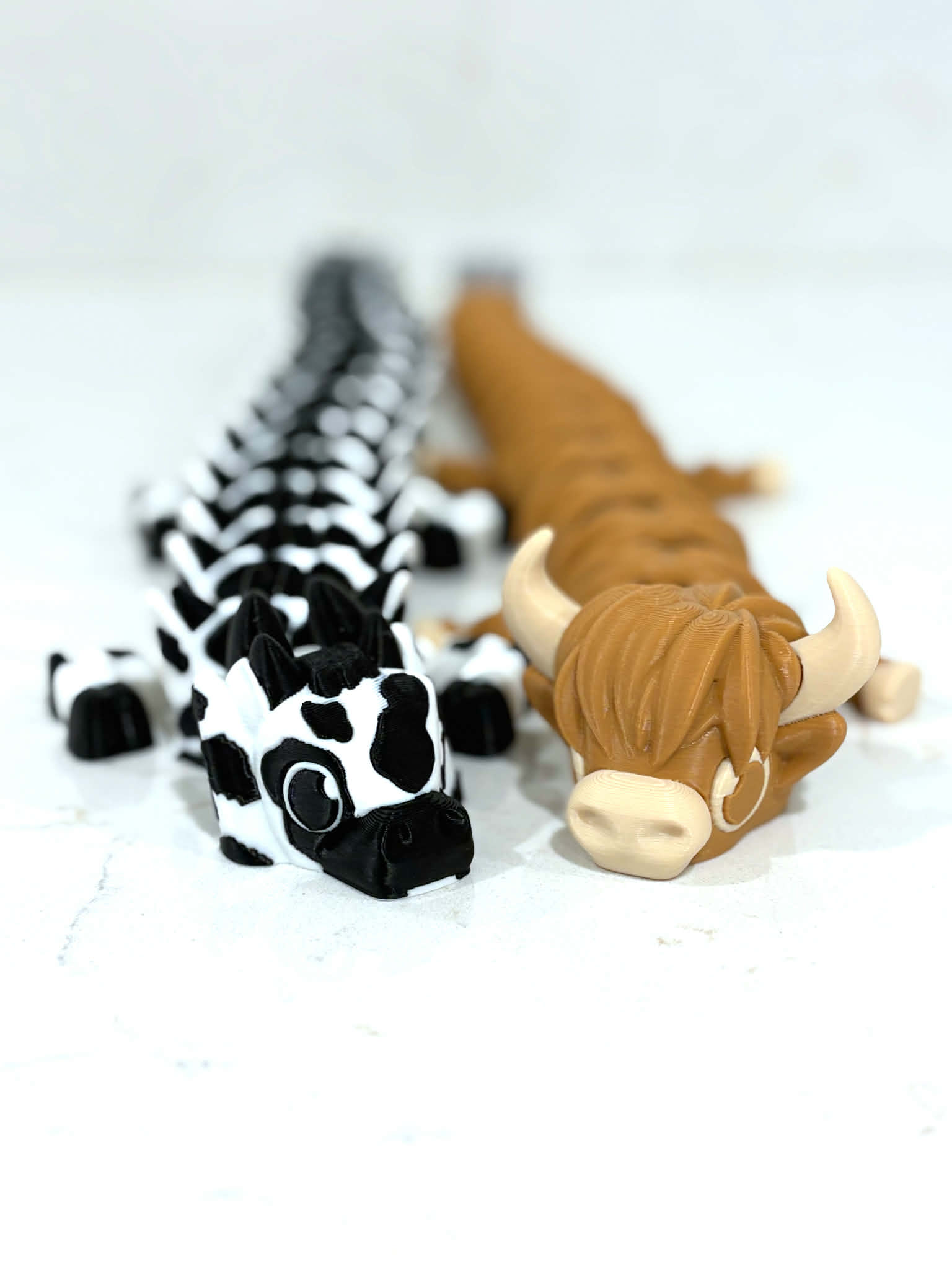 Cow Duo
