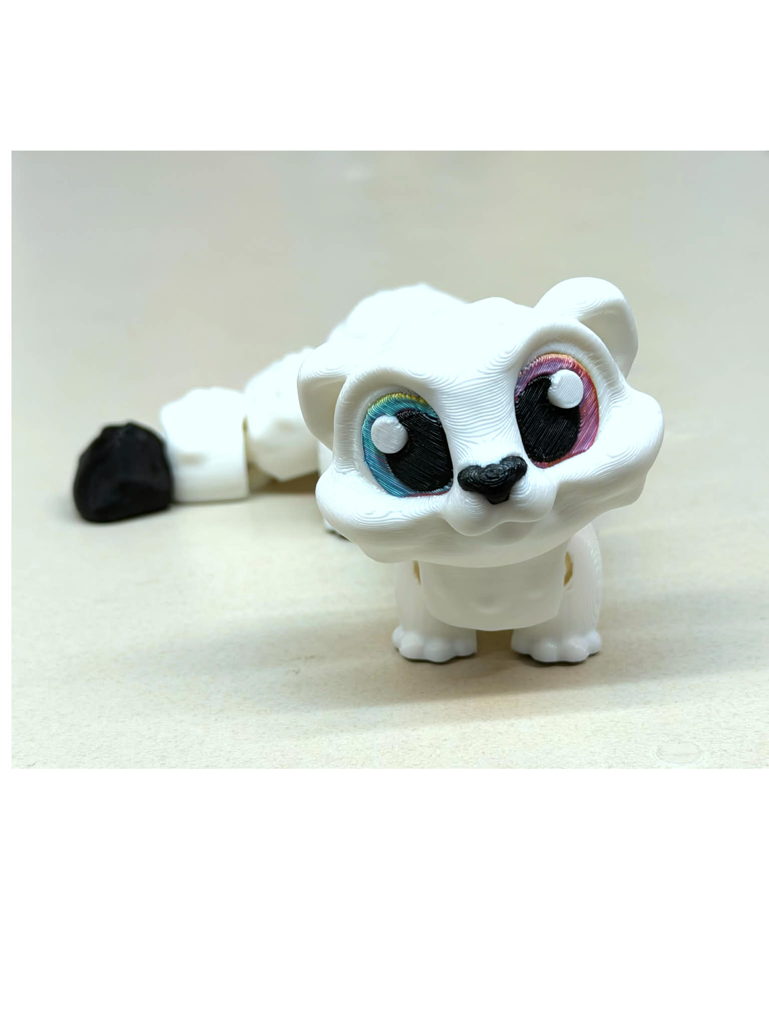 Black Footed Ferret Buddy